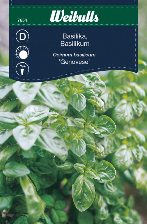 Basilikum 'Genovese'