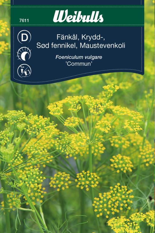 Sød fennikel 'Commun'
