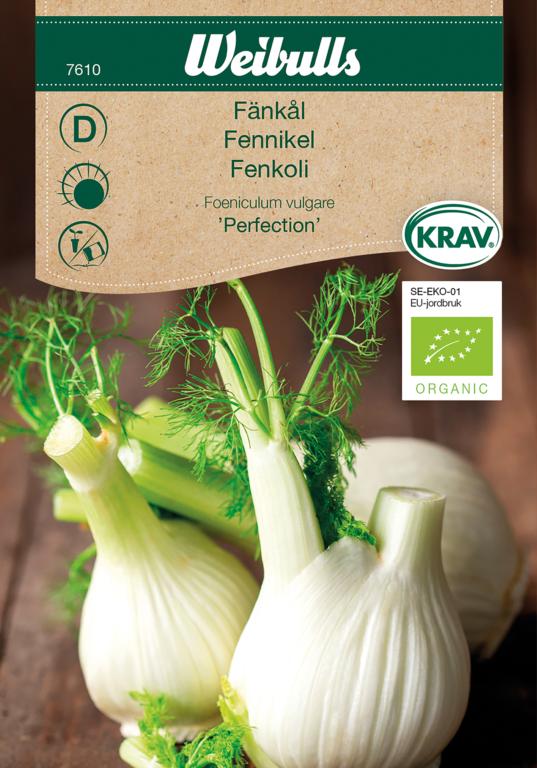 Fennikel 'Géant Mammouth Perfection' ØKO