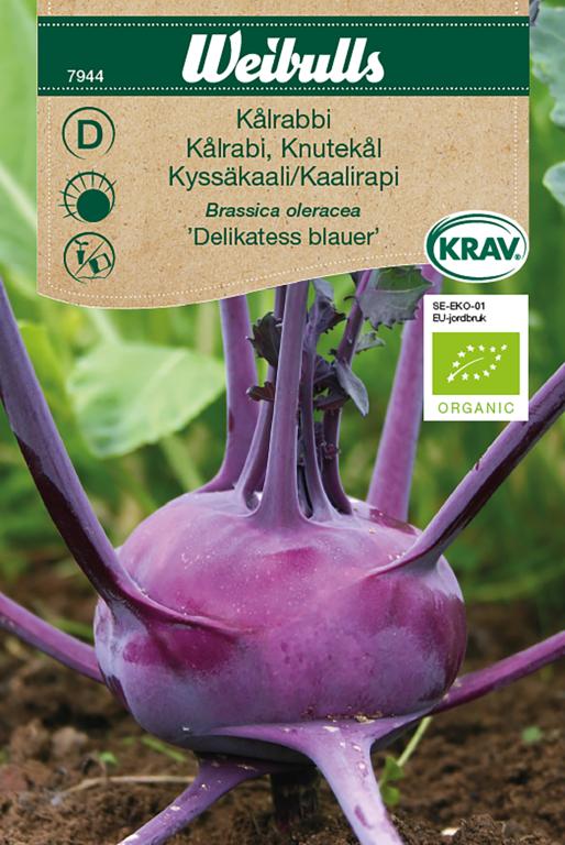 Kålrabi 'Delikatess blauer' ØKO