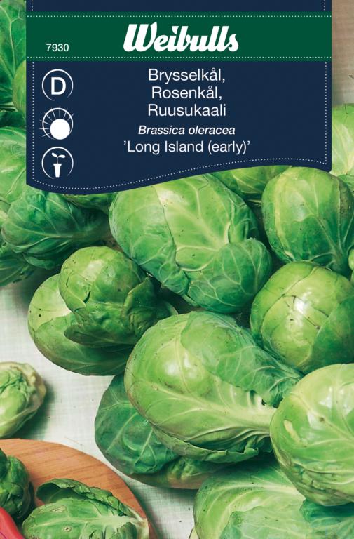 Kål rosenkål 'Long Island'