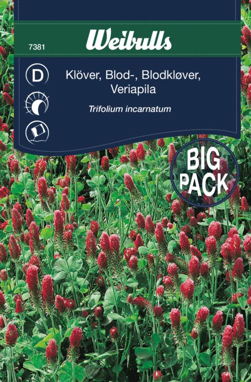 Blodkløver