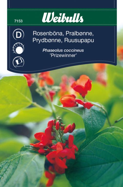 Pralbønne 'prizewinner'