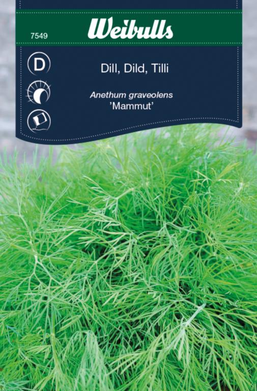 Dild 'Mammut'
