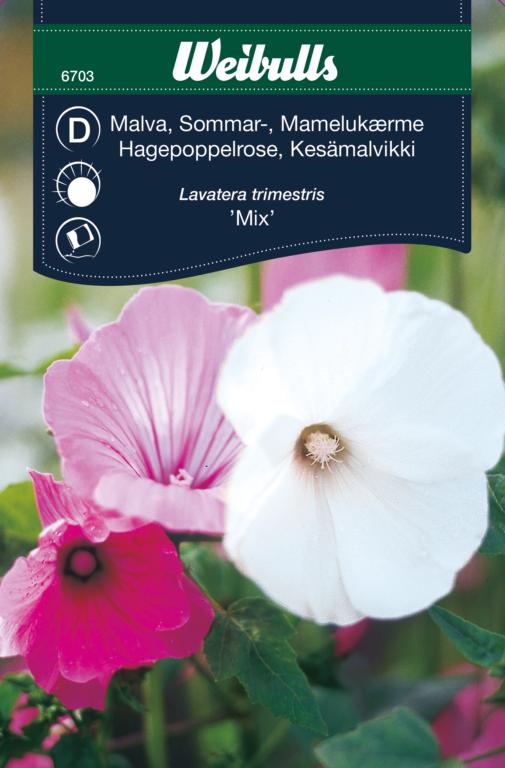Mamelukærme 'Mix'