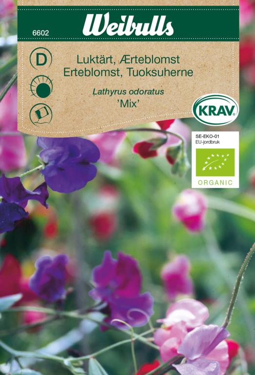 Ærteblomst 'mix' KRAV