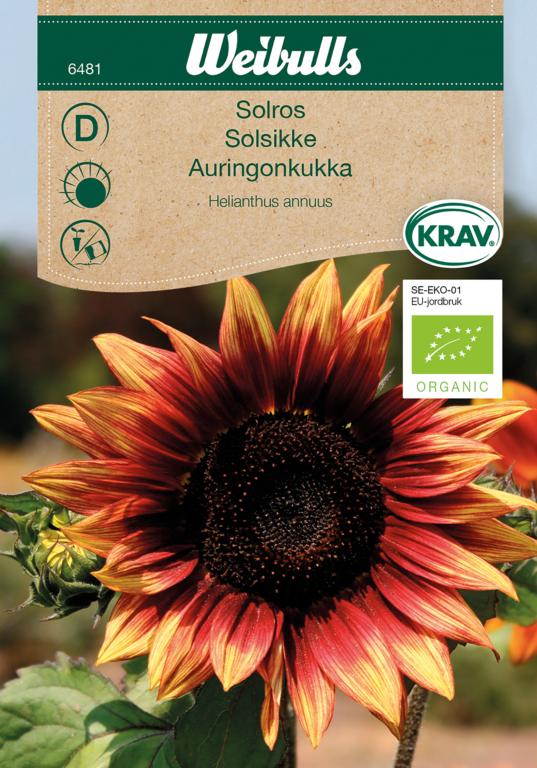Solsikke ØKO