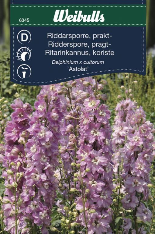 Riddersporre pragt 'Astolat'