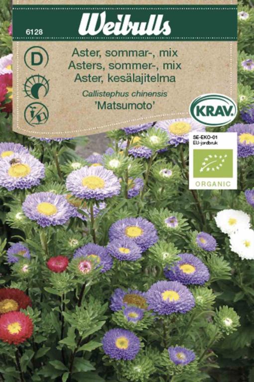 Asters sommer mix 'Matsumoto' ØKO