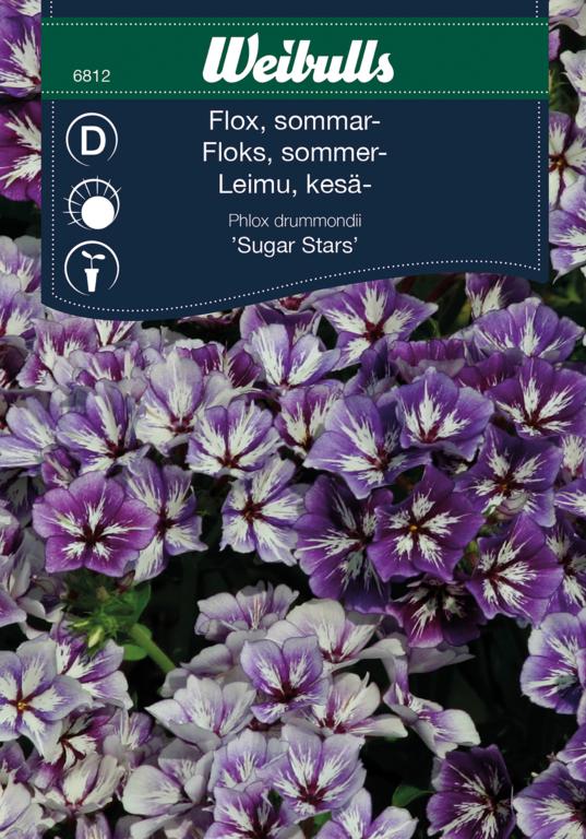Floks sommer- 'Sugar Stars'