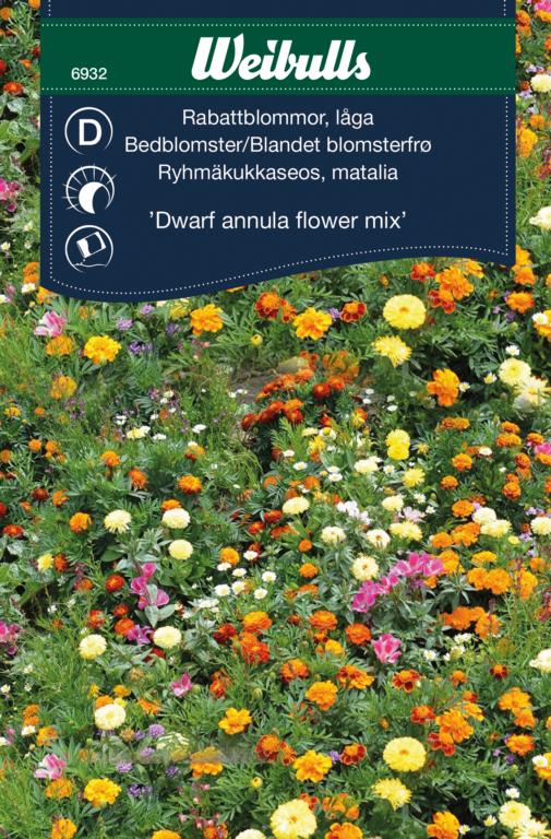 Blandet blomsterfrø 'Dwarf annula flower