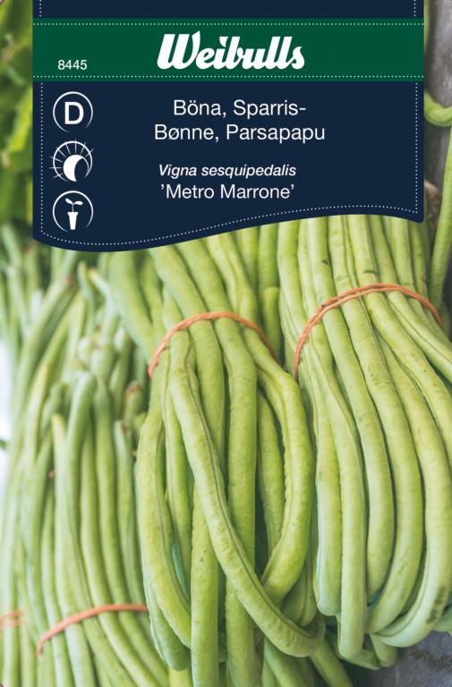 Bønne aspargesbønne 'Metro Marrone'