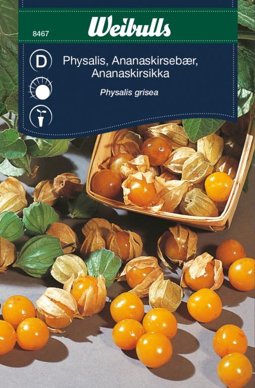 Ananaskirsebær