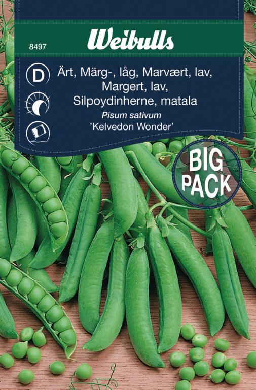 Ært marvært 'Kelvedon Wonder'