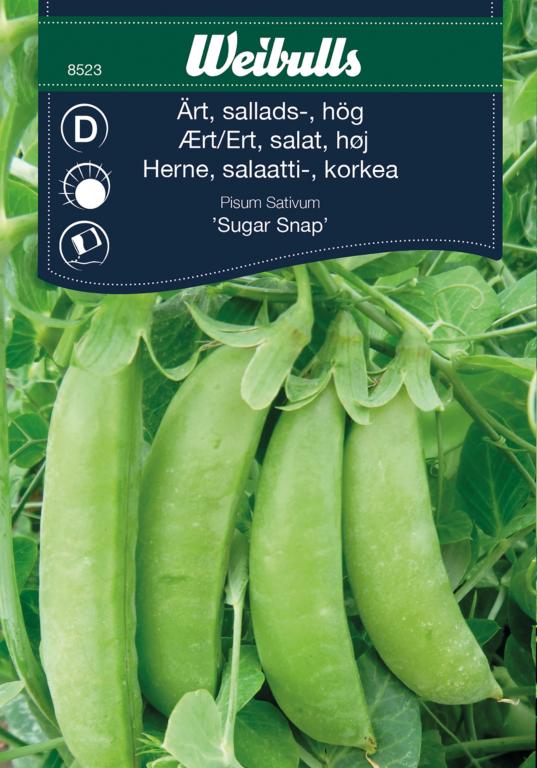 Ært salat høj 'Sugar Snap'