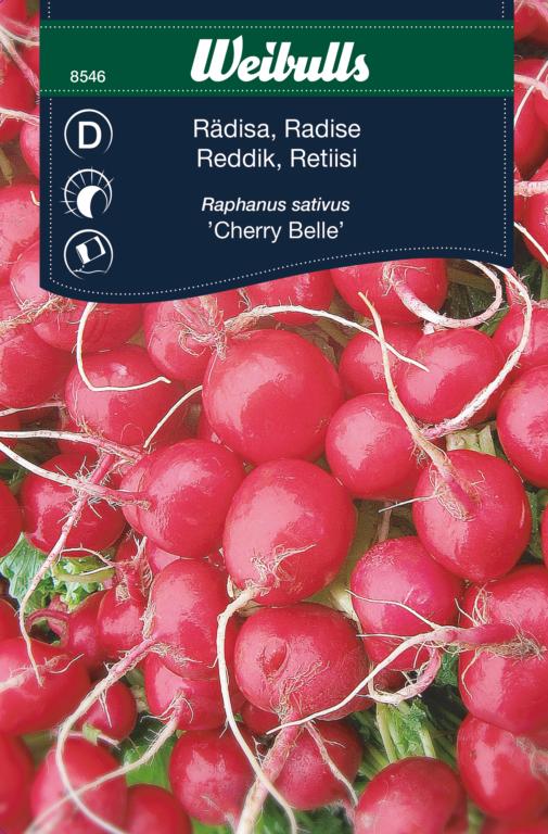 Radise 'Cherry Belle'