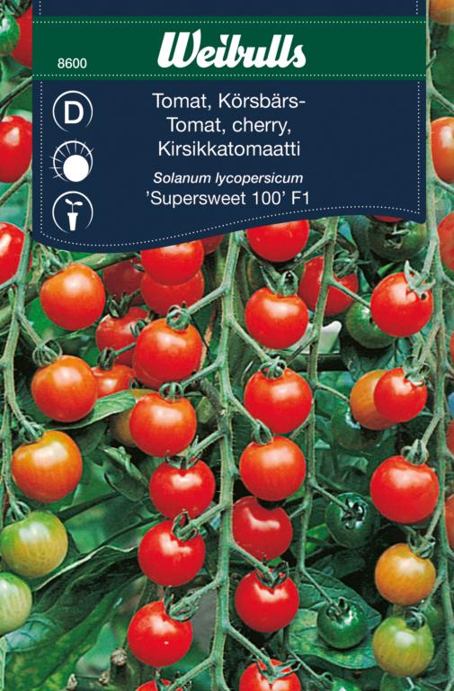 Tomat cherry 'Supersweet 100' F1