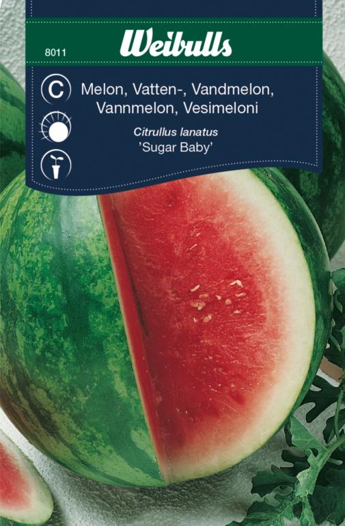 Melon vand 'Sugar Baby'