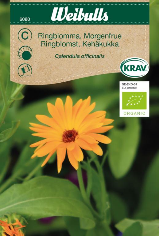 Morgenfrue ØKO