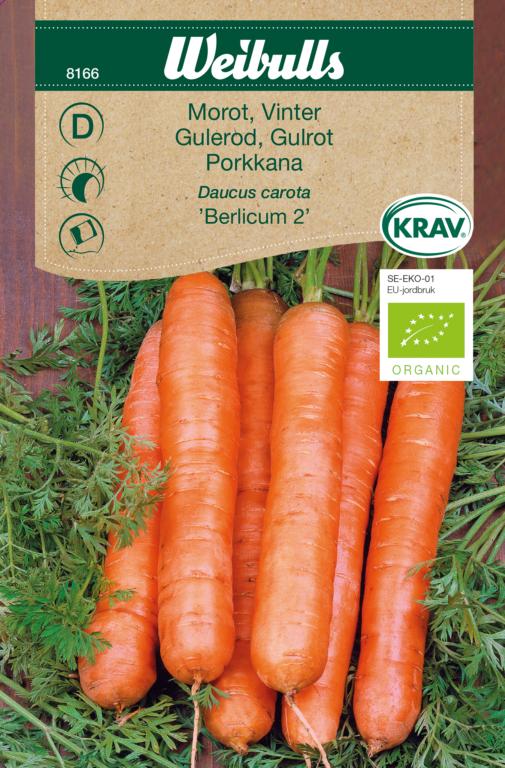 Gulerod, vinter 'Berlikumer 2' ØKO