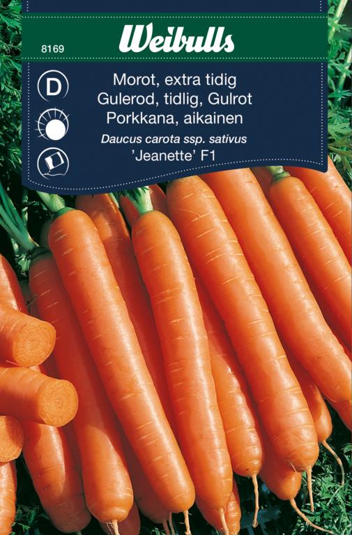Gulerod tidlig 'Jeanette' F1