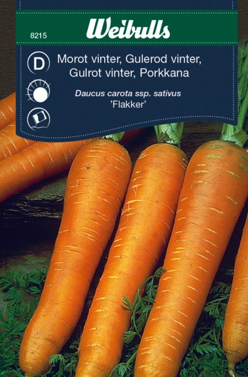 Gulerod vinter 'Flakker 2'