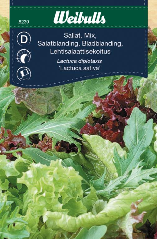 Salatblanding 'Lactuca sativa'