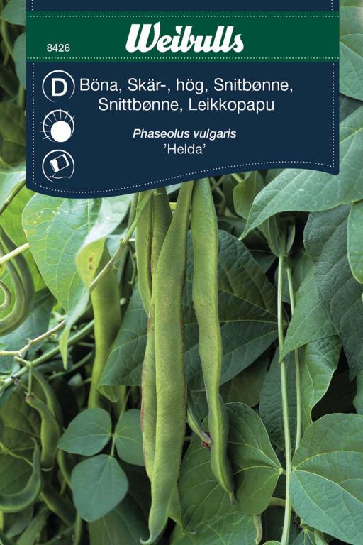 Bønne snitte 'Helda'