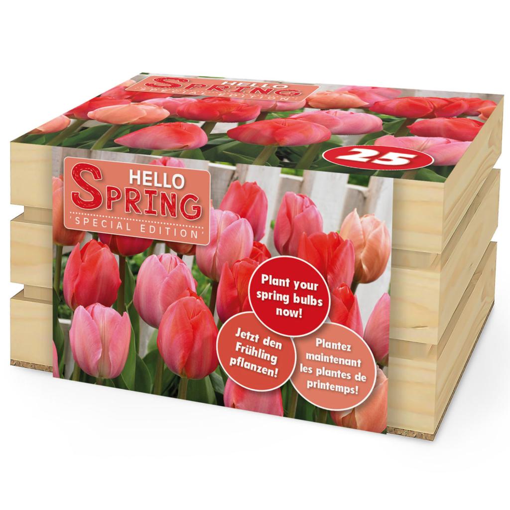 Hello Spring! Red Mix, 25 stk.