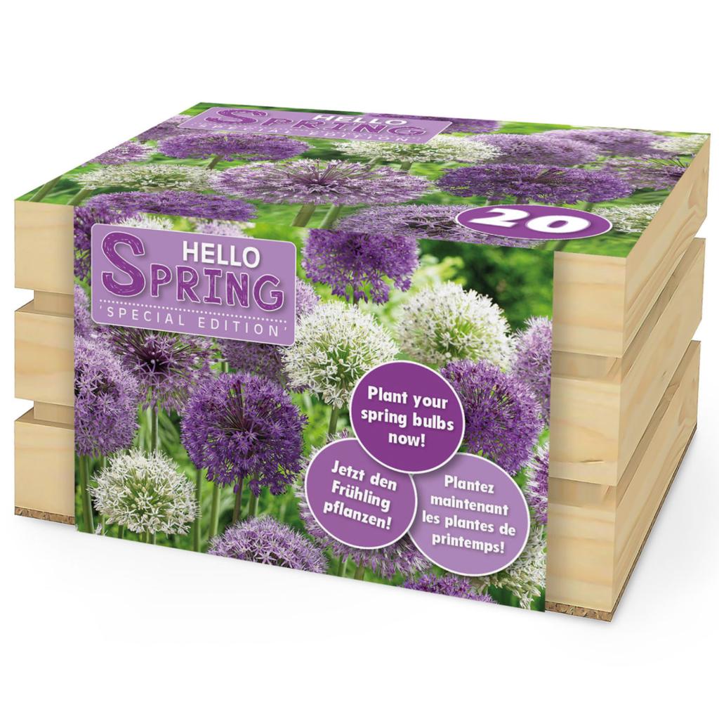 Hello Spring! Purple Mix