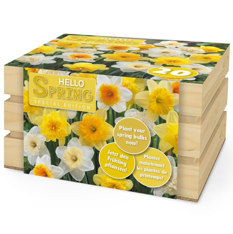 Hello Spring! Yellow Mix 20 stk.