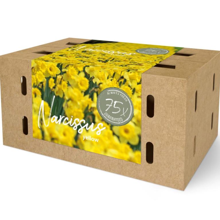 Narcissus Farmers Market Box