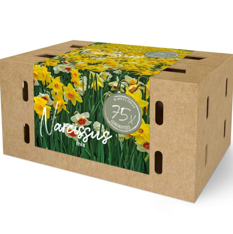 Narcis mix Farmers Market Box
