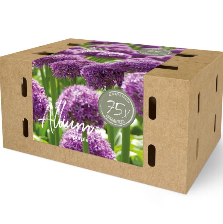 Allium Farmers Market Box