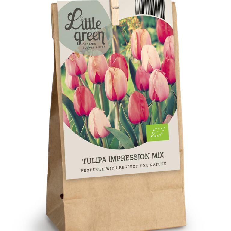Tulipa Impression mix
