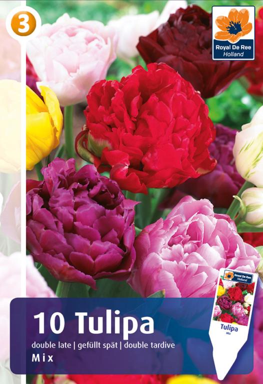 Tulipa Double Late Mix